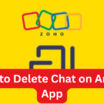 How to Delete Chat on Arattai App
